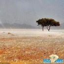 شمال وغرب وجنوب المملكة.. الأربعاء#”;الأرصاد”;: أمطار على