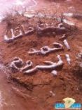 على محافظة الشملي . سراء . جبة . جو . غزلانة . قناء . مصحوبه بزخات من البرد  #أكثر من 200 صوره للأمطار التي هطلت اليوم الخميس