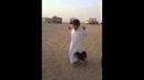 وحقوق الإنسان تصف المشهد بـ”;المؤلم”;#بالفيديو: كلب يعض طفل