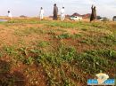جنوب حائل ( المستجدة – السليمي )#بداية إخضرار الأودية و الفياض