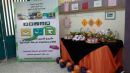 تطبيق أختبارات برنامج “; حسّن “; في الأبتدائية التاسعة للبنات #يومي الأثنين و الثلاثاء 29-30 /1 /1435هـ