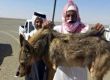 مواطن يقتل «ذئباً مفترساً»