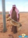 ذئب هاجم أغنامهم#شباب حبران يصطادون