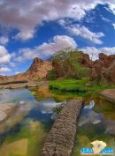 حائل .. طبيعة يكسوهَا الخضَار#بالتزامُن مع الإجازة