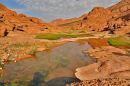 صــور لربيع جبال اجاء