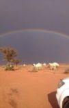 صور منوعه لأجواء حائل