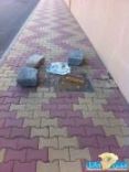 نشرته “; عين حائل الاخبارية “; #تعليم حائل يستجيب لما