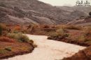 على الغزالة مساء اليوم الاثنين#صور من الامطار التي هطلت