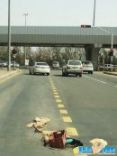 عبارة عن صندوق طماط  وسط شوارع مدينه حائل #لوحة تحذيرية للسائقين