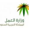 إيقاف الاستقدام لـ 14 مهنة#وزارة العمل