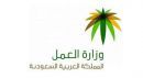 ورفع دوام موظفي الدولة لـ 40 ساعة#العمل تطالب بالمساواة