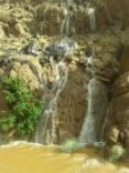 تغطي مدينه حائل ومحافظاتها#بالصور.. الأمطار والبرَد