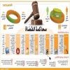وإخضاع 17 لـ«التحقيق».. بتهمة «مخالفات»#«الاستغناء» عن 3 قضاة