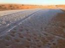 صرف أضرار موجات البرد والصقيع بمنطقة حائل 1430هــ في شهر شوال القادم