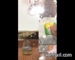 “حبوب مجهولة” داخل أكياس الشاي