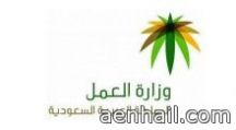 العمالة المنزلية من فيتنام خلال أيام