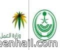 تحددان القطاعات المستهدفة بـ”السعودة الكاملة”