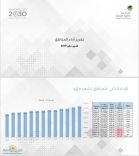 فرع وزارة العمل والتنمية الإجتماعية بحائل يُحقق المركز الأول على المملكة في الأداء..