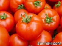 100 % وسط غياب الجهات المعنية
