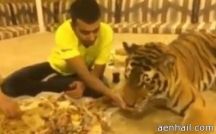 سعودي يستضيف نمراً في مجلسه