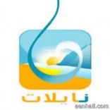 تفاوض قناة نايلات على شراء ترخيصها ومعداتها الخاصه بها