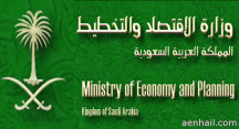أن 60% من السعوديين يملكون مساكن