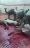 ومنتقدون: والله حرام وعدم التزام بالشريعة