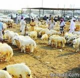 محملة بـ”ميكروبات” خطيرة