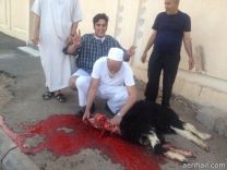 غانم دحان عبدالله  يذبح الأضحية في منزله بمدينه حائل
