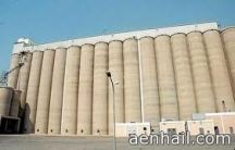 مستحقات الدفعة الثانية لـ823 من مزارعي القمح