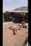 تحمل بعارين على طريق المدينه جنوب حائل