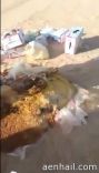 ملقاة بجانب الطريق.. ويحذر من زوال النعمة (فيديو)