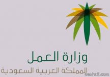 “العمل”: تطبيق نظام “العمل عن بُعد” قريباً