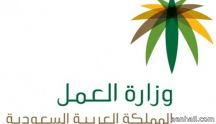 إطلاق وظائف «العمل عن بعد» رسميا