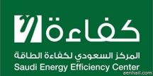 “كفاءة الطاقة” يحذر المكاتب الهندسية من عدم تطبيق العزل الحراري