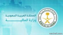 تفاصيل الميزانية العامة للدولة لعام 2015