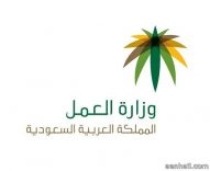 “العمل” تحقق مع شركة إيطالية فصلت عدداً من مهندسيها السعوديين