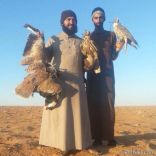 صقارة حائل ينتظرون الدعم تحت مظلة رسميه