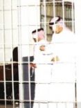 القبض على محتال عملاء البنوك في جدة