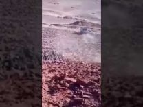 بالفيديو : 4 شبان يلقون سيارة من أعلى ” جرف ” و السبب غريب ! .