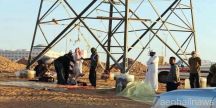 «الكهرباء»: لن نسمح بسلخ الأضاحي على أبراج الخدمة