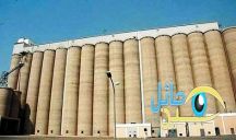 الصوامع تعتزم شراء 660 ألف طن قمح