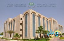 القيام بأعمال الوظائف المشمولة بنظام الخدمة المدنية