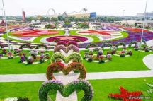‏⭕️المستشار والمأذون الشرعي / أحمد الخريصي ،،، بسبب تميز النساء بــ الرحابة والطيبة والكرم هناك إقبال كبير للزواج من حائل وخاصة من الرياض . ⁧‫