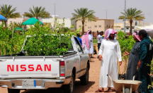 زراعة حائل تستعد لتنفيذ أسبوع الشجرة
