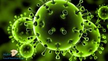 فيروس كورونا وصل لحاجز الـ4 ملايين، بينما تجاوز عدد الوفيات 280 ألف حالة.