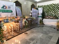 حائل: “العمل والتنمية الاجتماعية” تطبق مبادرة “الأولوية لهم” بفروعها النسائية