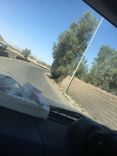 أشجار تسبب الاضرار لسالكي طريق الصبيات شرق مدينة حائل