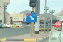 بالفيديو : جمل يهرب من صاحبه وسط طريق عام