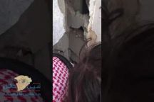 مواطن يكسر جداراً بمنزله لإنقاذ قطة صغيرة